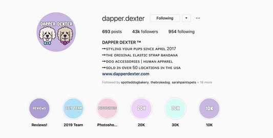 Dox Design- Blog Feature