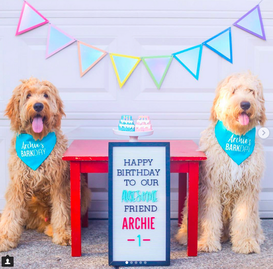 BARkday