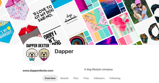 Follow us on Pinterest
