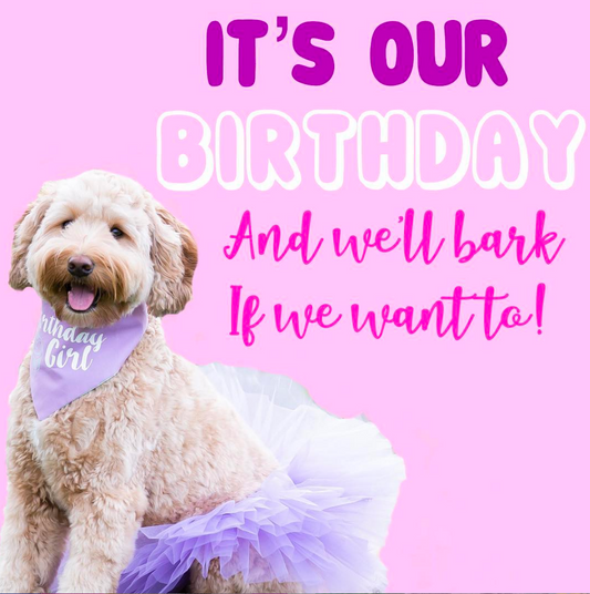 Dapper Dexter turns TWO