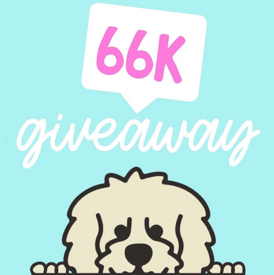 WE HIT 66K