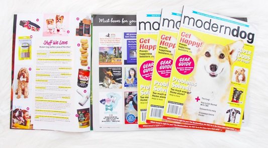 MODERN DOG MAG FEATURE - SUMMER ISSUE
