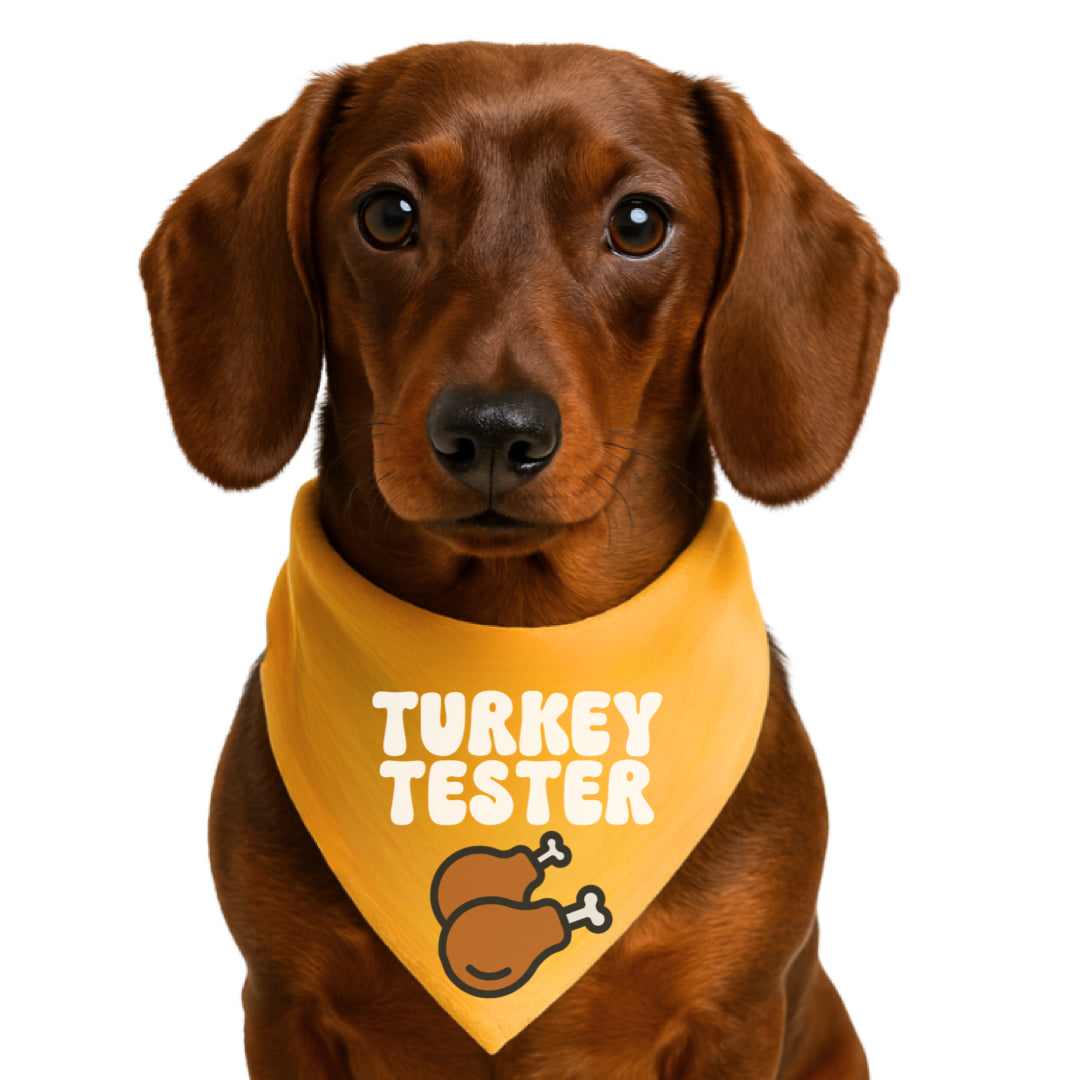 TURKEY TESTER- CLASSIC DOG BANDANA