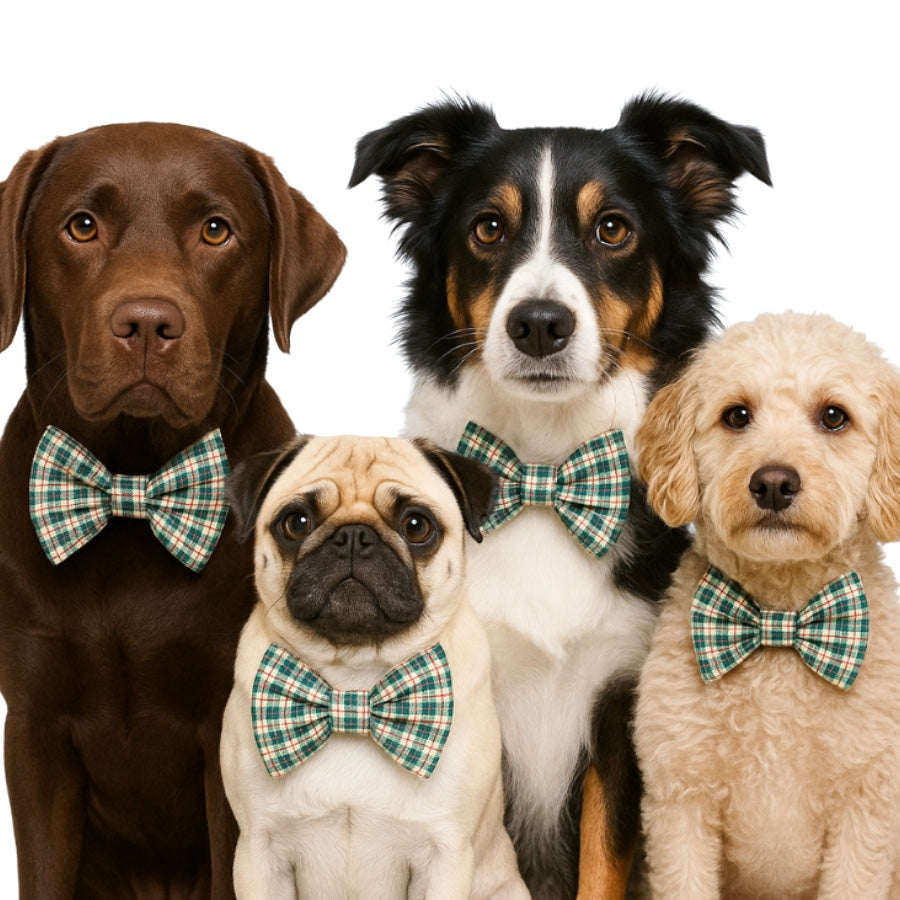 GREEN LINEN HOLIDAY PLAID- DAPPER DEXTER DOG BOW TIE