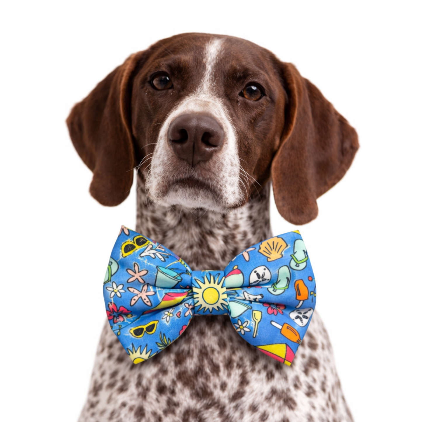 SUMMER VIBES - DAPPER DEXTER DOG BOW TIE