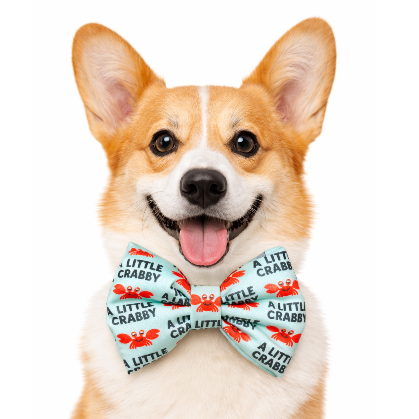 CRABBY - DAPPER DEXTER DOG BOW TIE