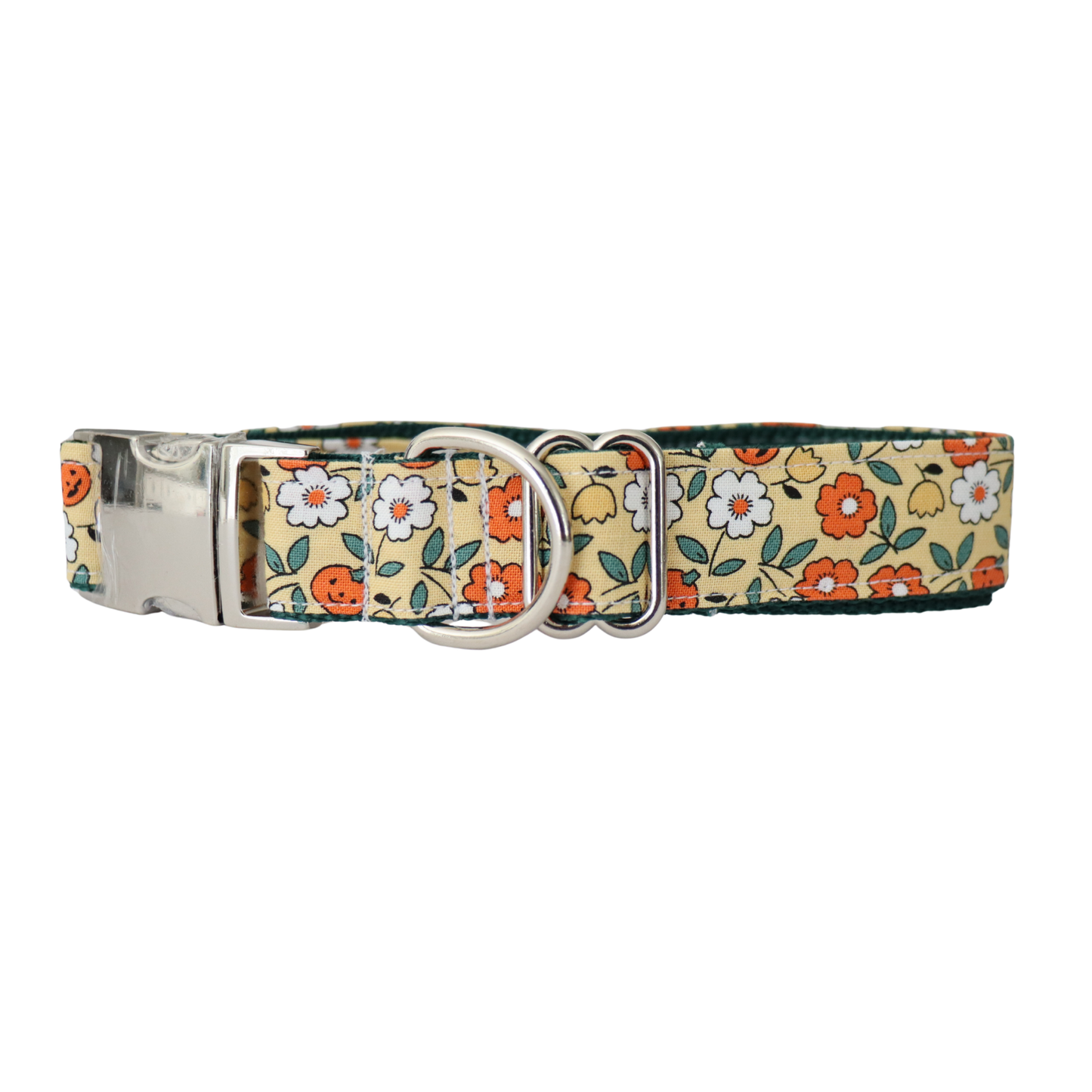 PUMPKINS AND FLOWERS - DOG COLLAR