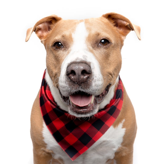 BUFFALO PLAID - TRIANGLE DOG BANDANA BY DAPPER DEXTER