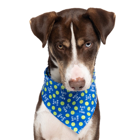 BALL IS LIFE - TRIANGLE DOG BANDANA BY DAPPER DEXTER