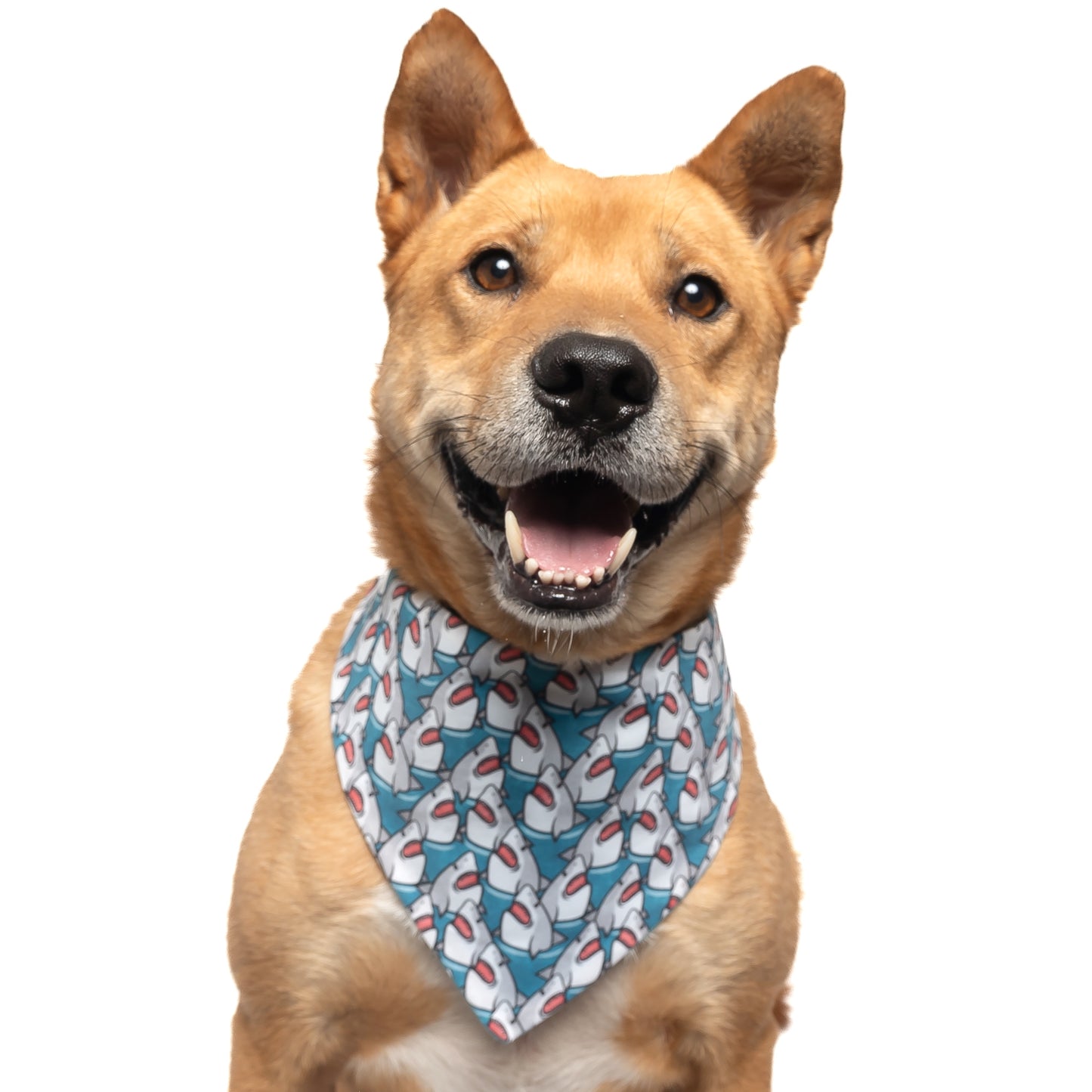SHARKS - CLASSIC DOG BANDANA