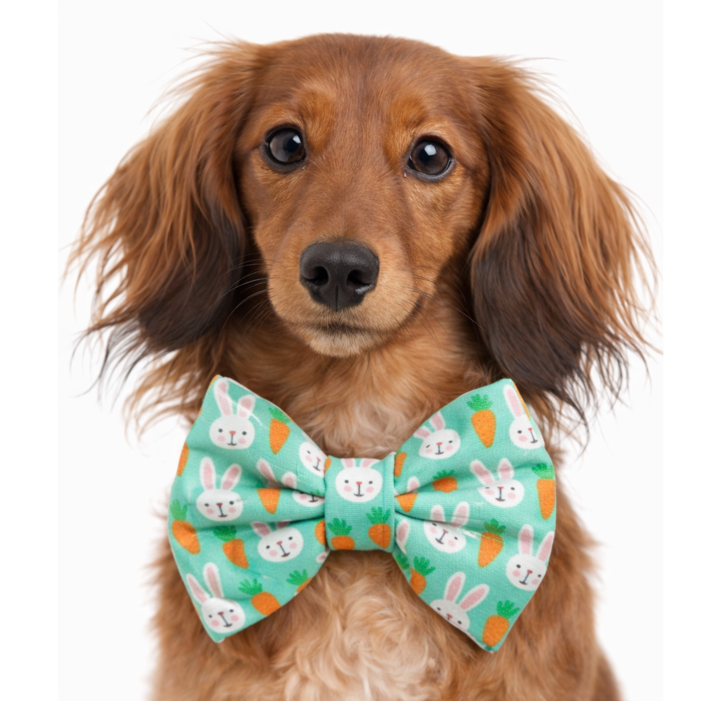 CARROTS & BUNNIES - DAPPER DEXTER DOG BOW TIE