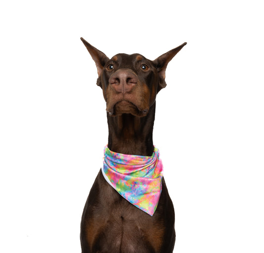 NEON TIE DYE - TRIANGLE DOG BANDANA BY DAPPER DEXTER