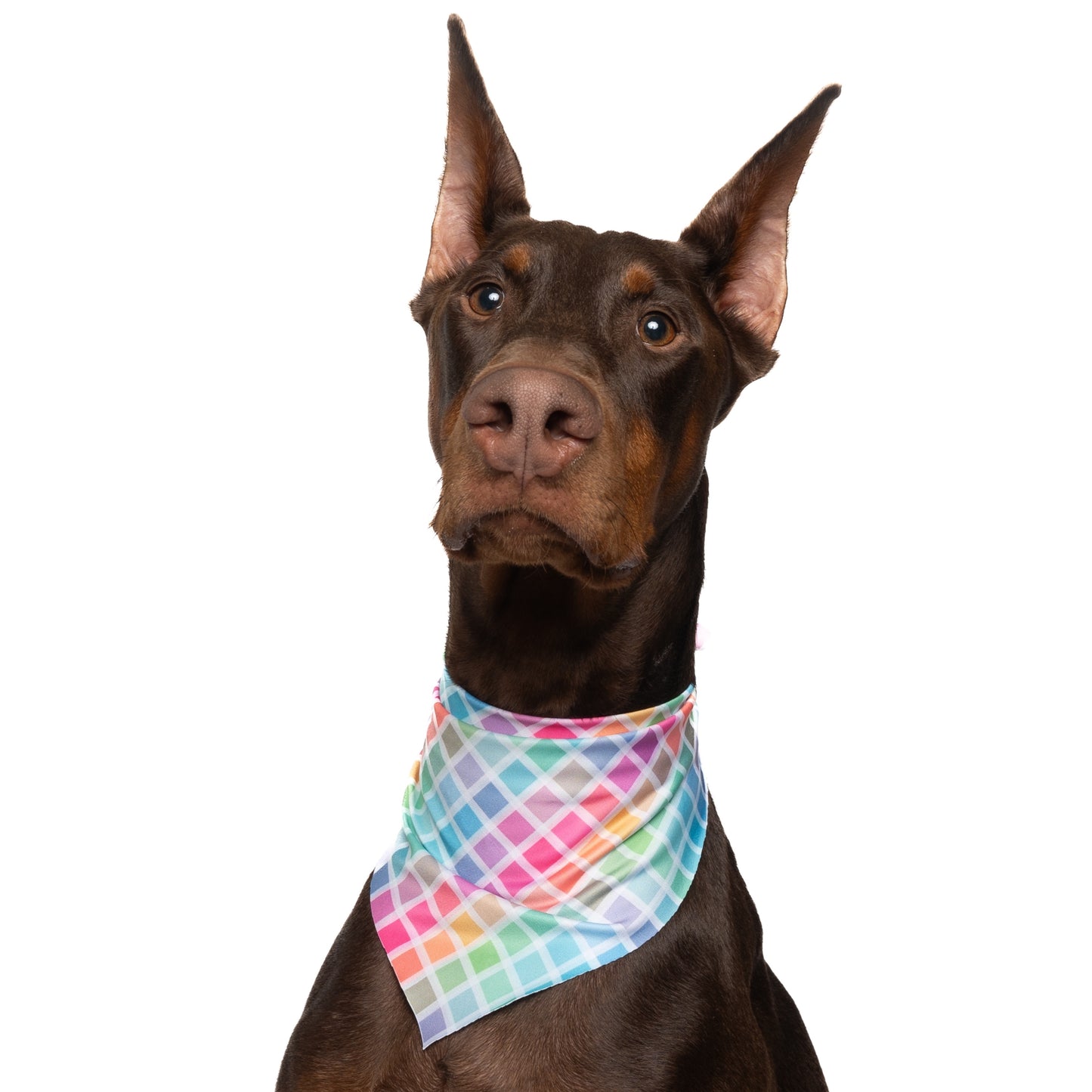 RAINBOW WINDOWPANE PLAID - TRIANGLE DOG BANDANA BY DAPPER DEXTER