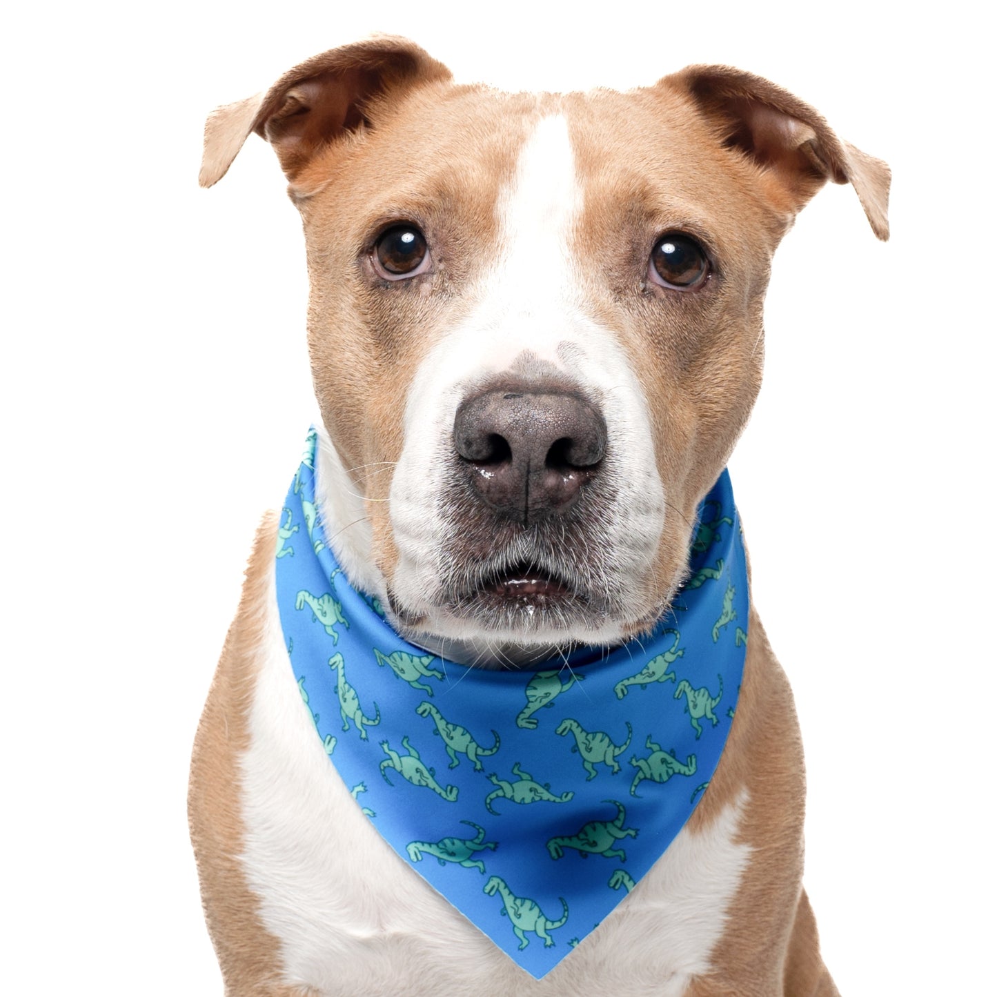 DINOS - TRIANGLE DOG BANDANA BY DAPPER DEXTER