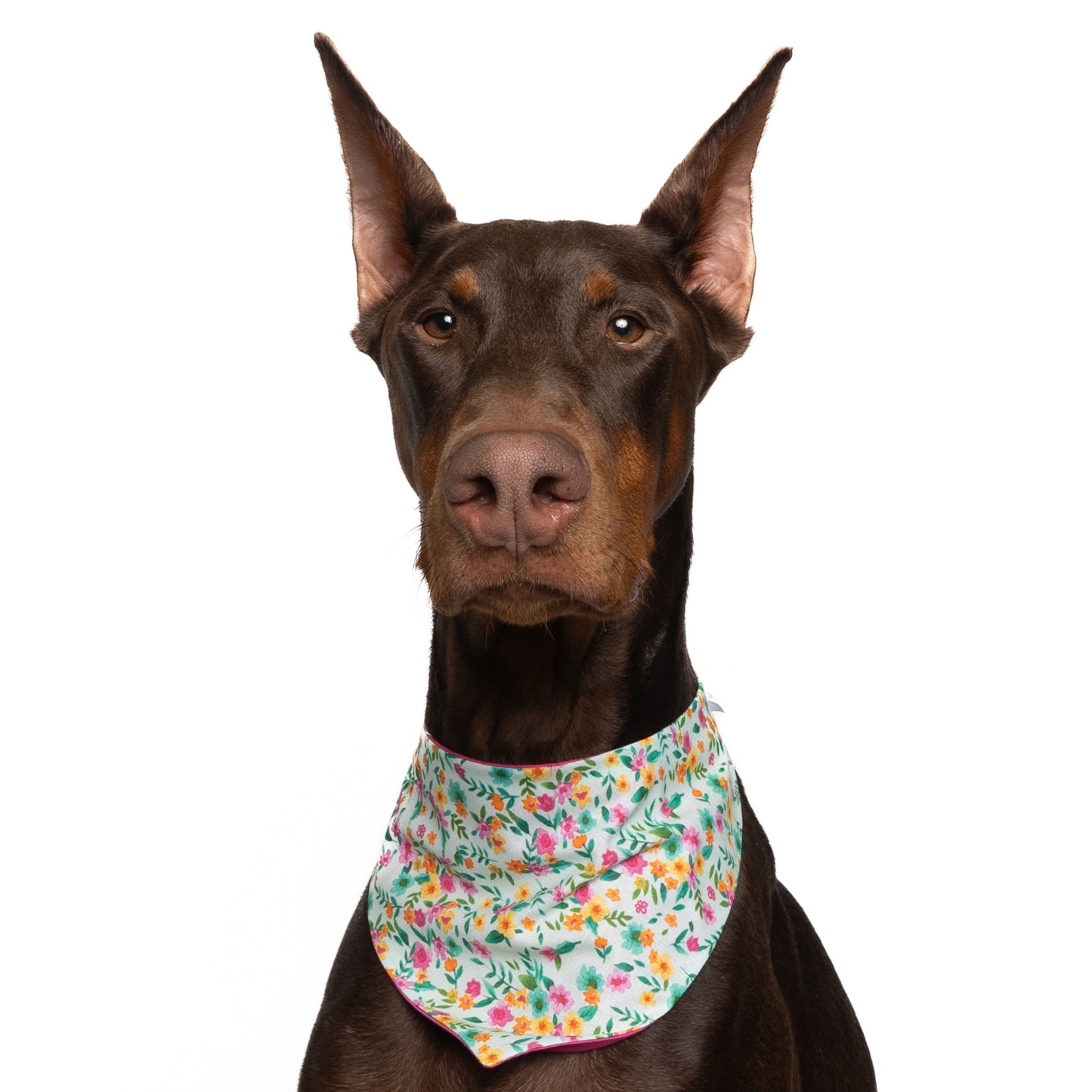 MINT GARDEN FLORAL - CLASSIC DOG BANDANA