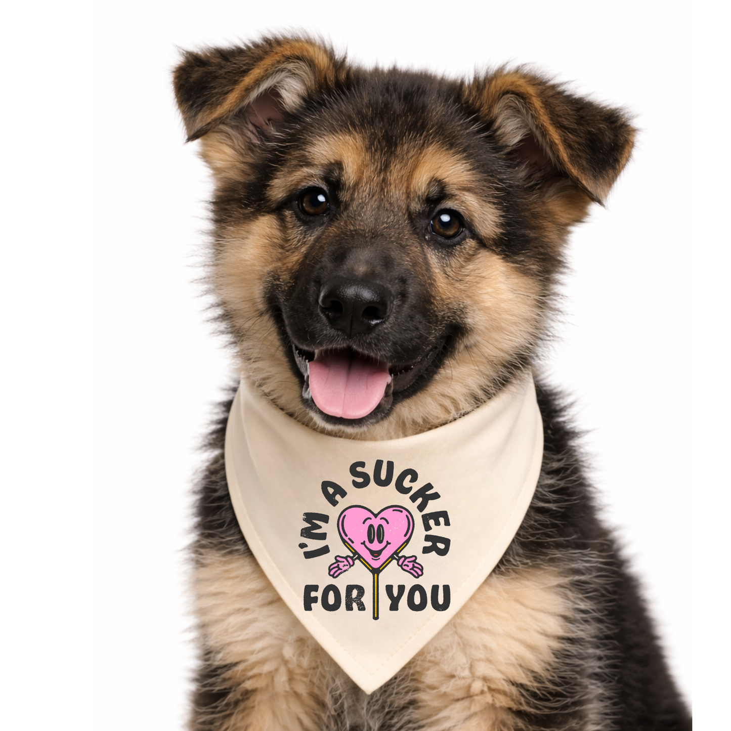 SUCKER FOR YOU- CLASSIC DOG BANDANA