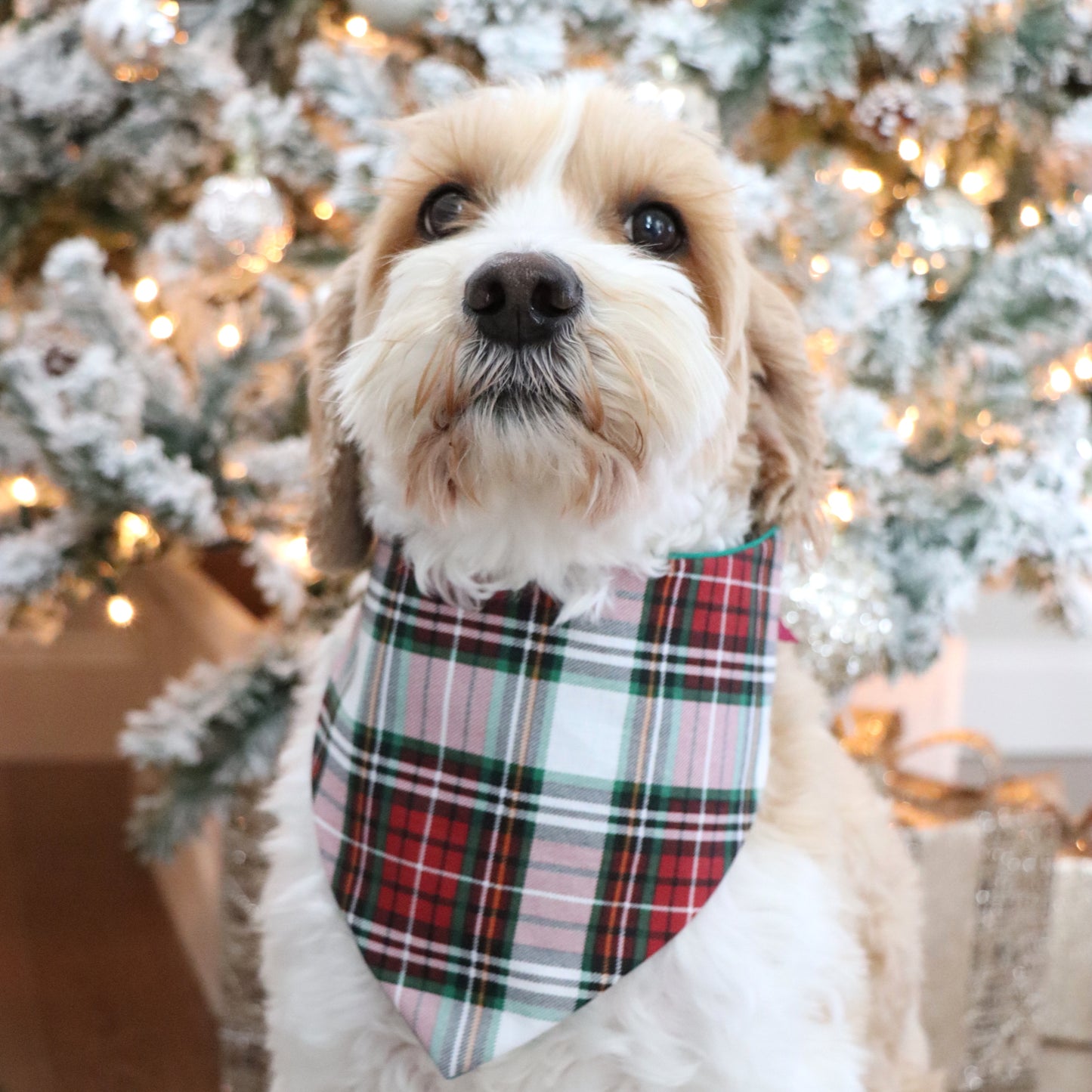 CLASSIC CHRISTMAS PLAID - CLASSIC DOG BANDANA