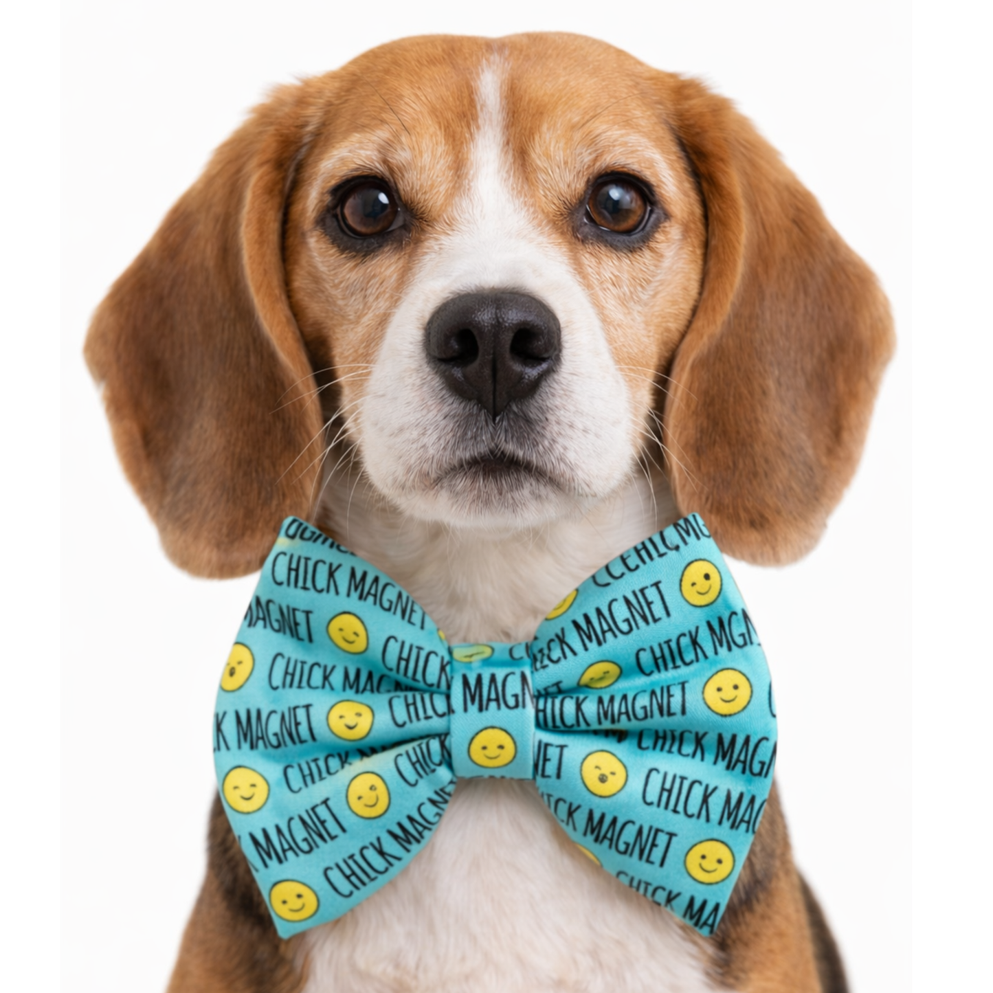 CHICK MAGNET - DAPPER DEXTER DOG BOW TIE