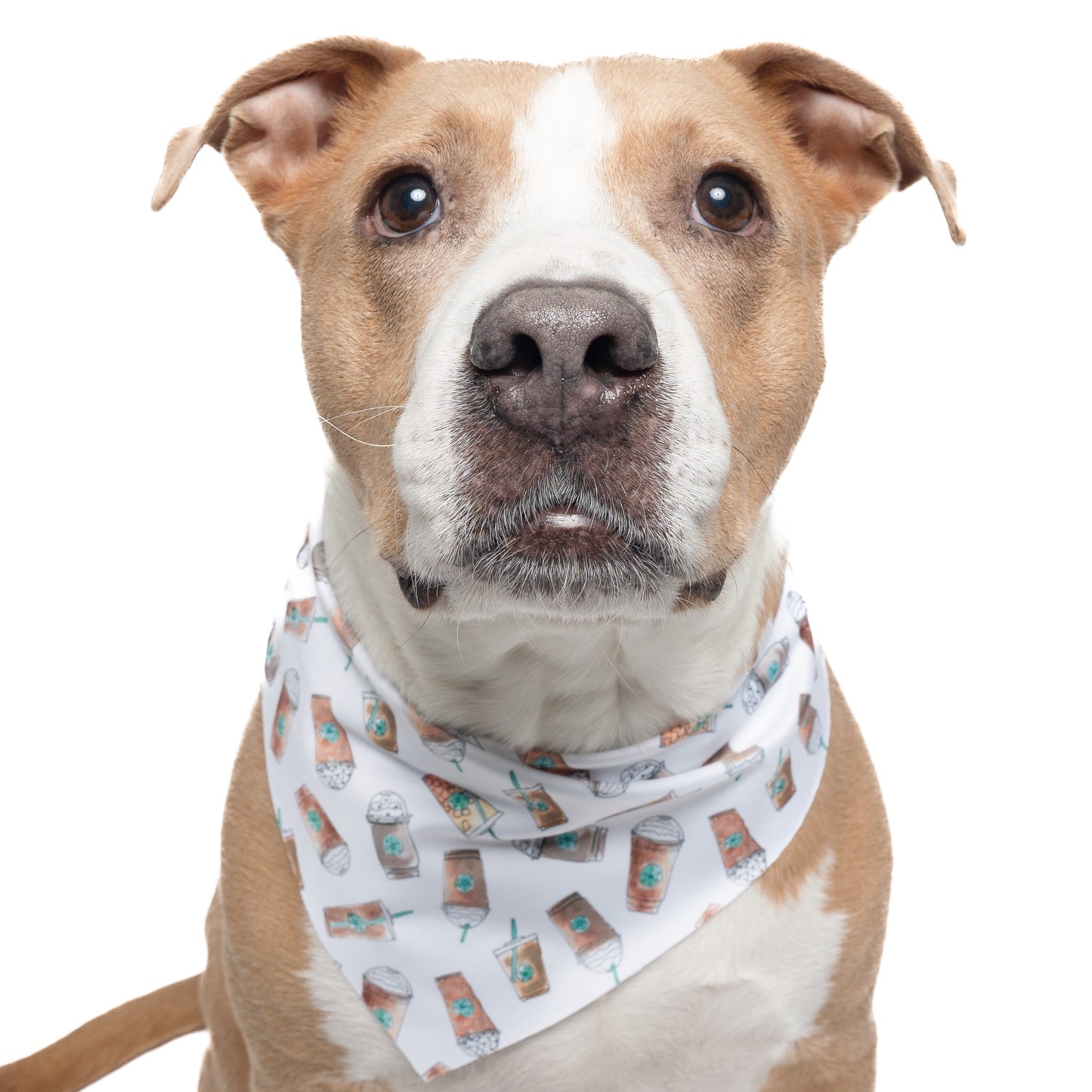 STARBYS - TRIANGLE DOG BANDANA BY DAPPER DEXTER