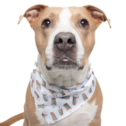 STARBYS - TRIANGLE DOG BANDANA BY DAPPER DEXTER