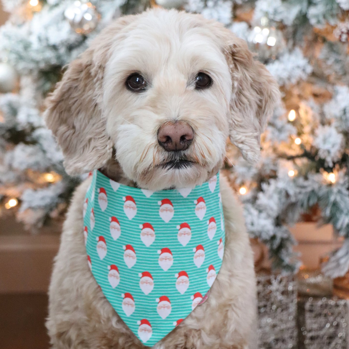 GREEN STRIPE SANTA - CLASSIC DOG BANDANA