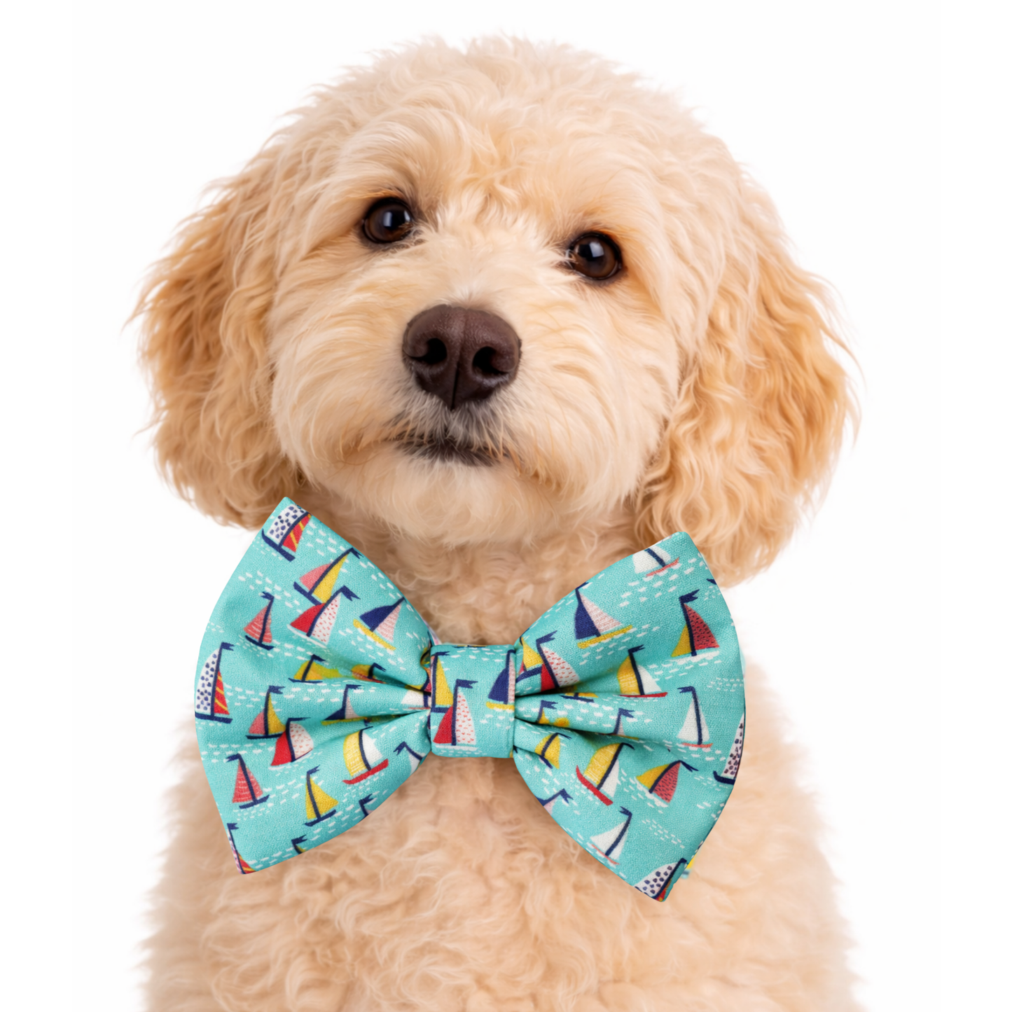 SAIL BOATS - DAPPER DEXTER DOG BOW TIE