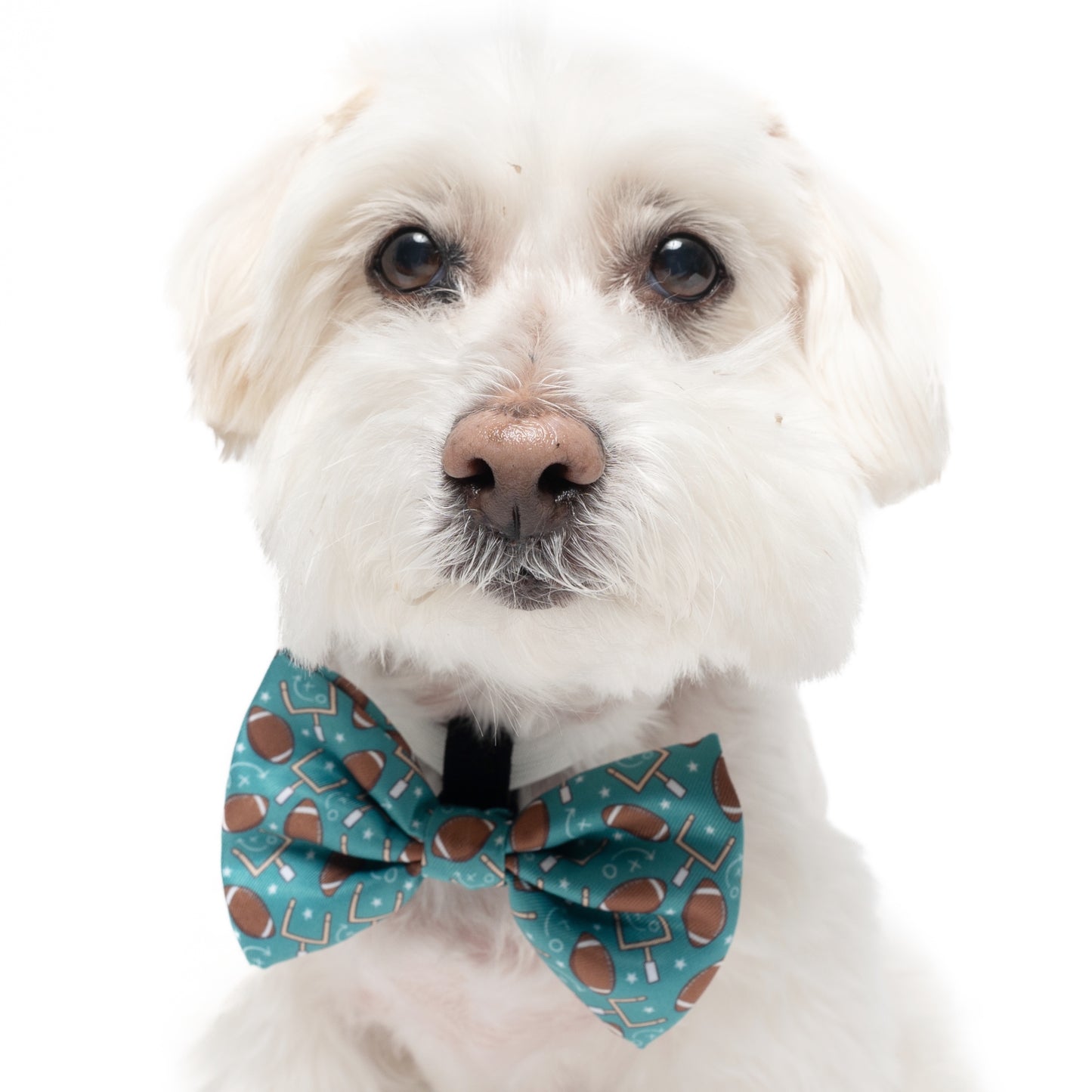 FOOTBALL - BOW TIE