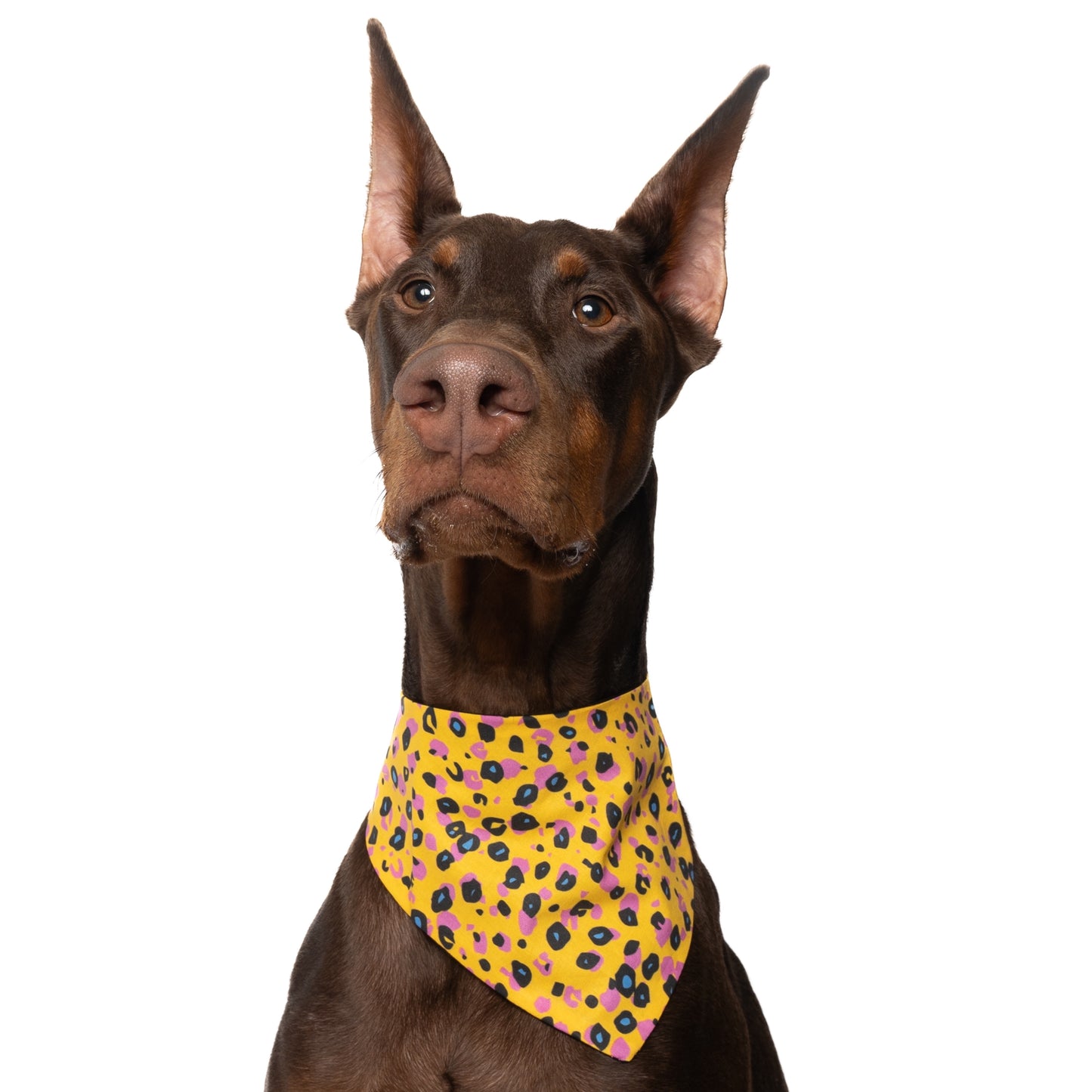 YELLOW ANIMAL PRINT - CLASSIC DOG BANDANA
