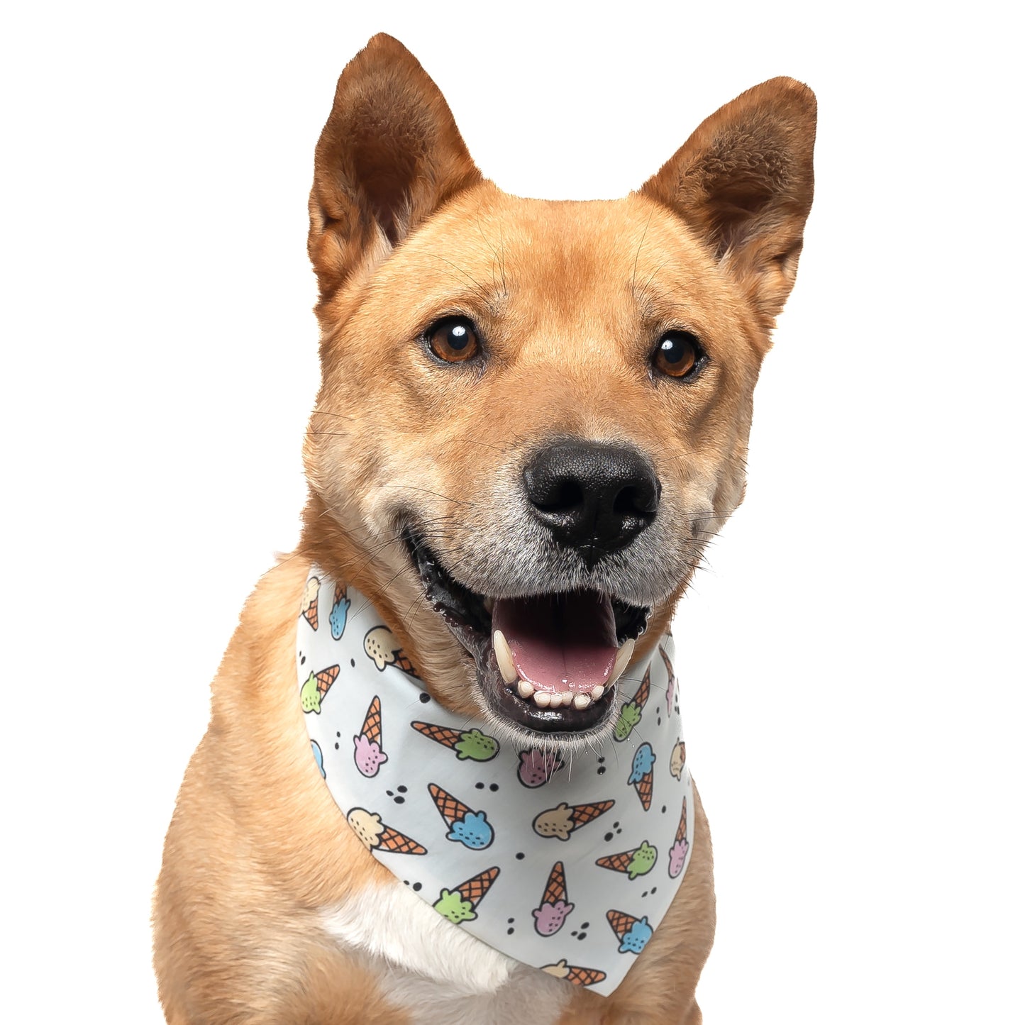 MINI ICE CREAMS (CREAM) - CLASSIC DOG BANDANA