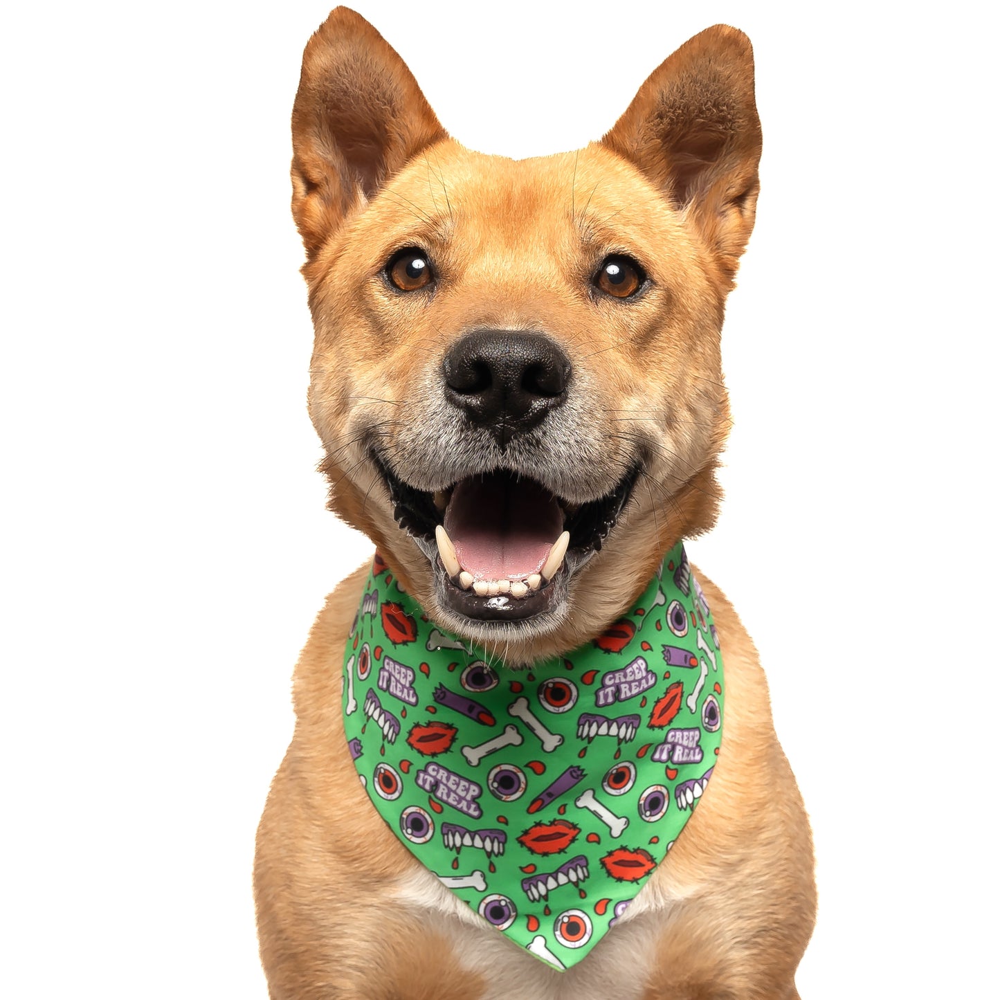 CREEP - CLASSIC DOG BANDANA