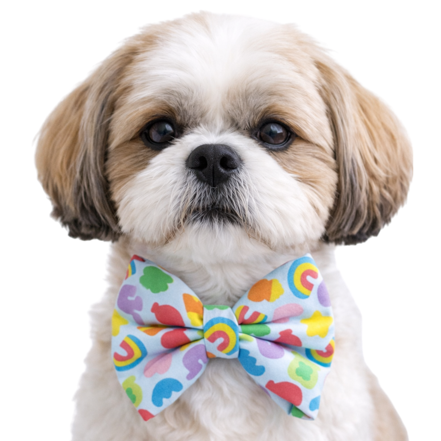 MELLOW CEREAL ICONS - DAPPER DEXTER DOG BOW TIE