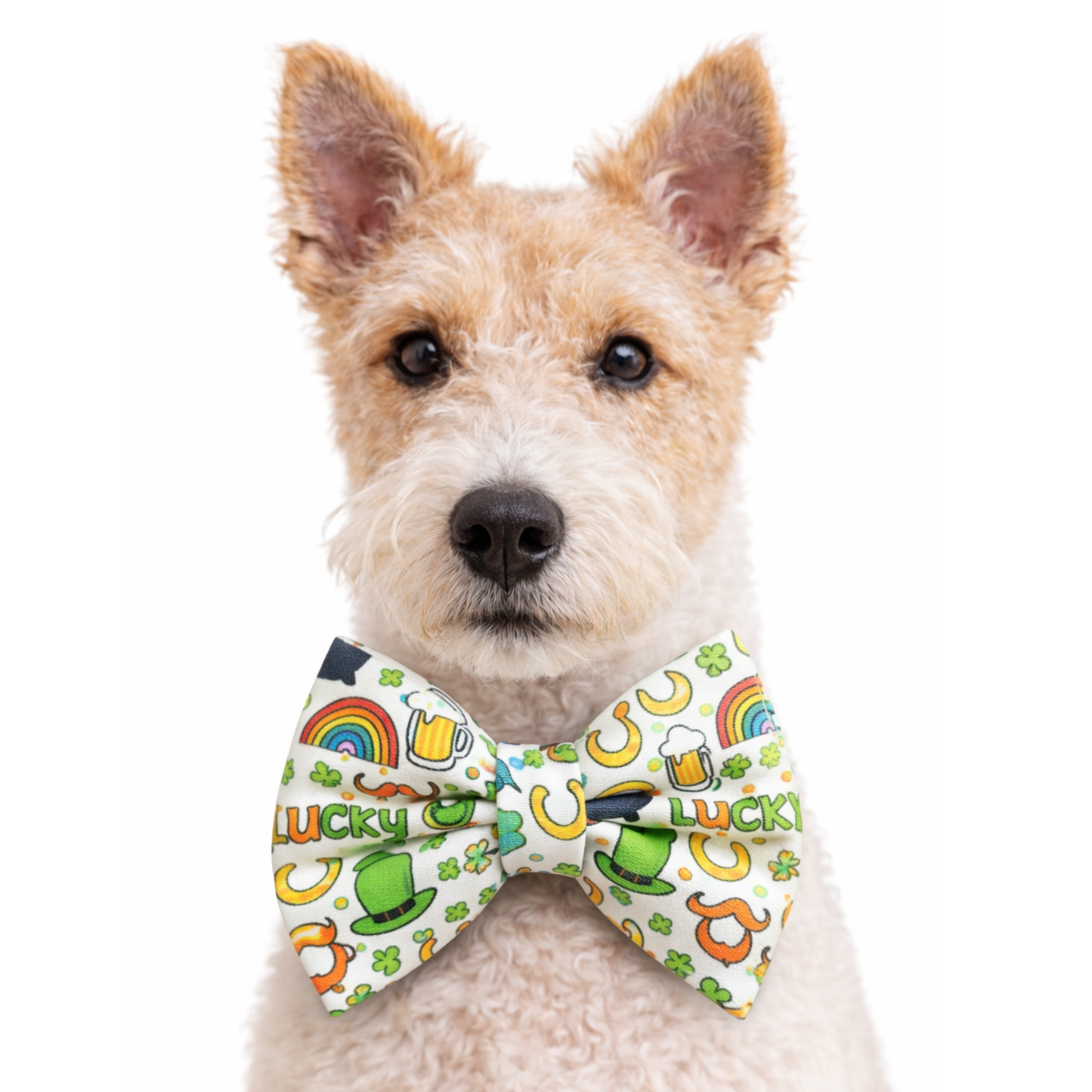 LUCKY ICONS - DAPPER DEXTER DOG BOW TIE