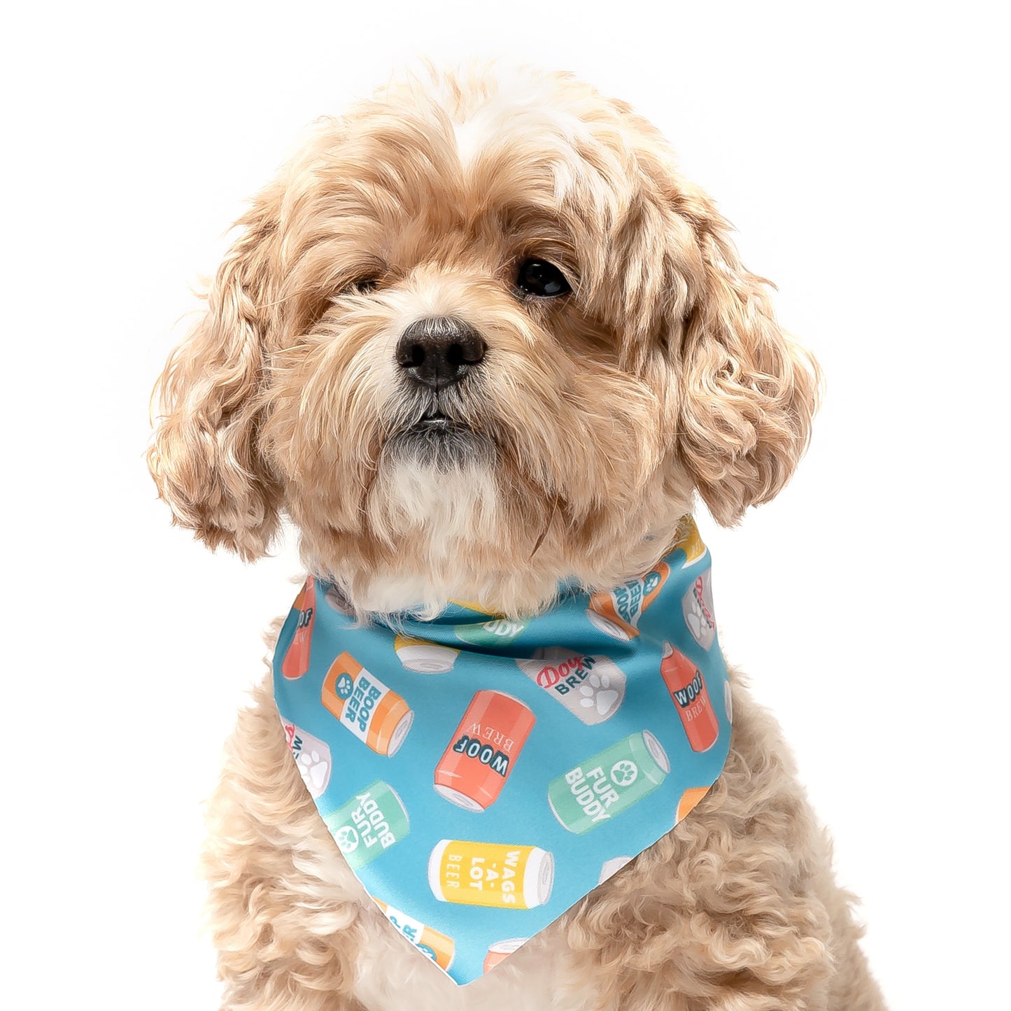 BEER - TRIANGLE DOG BANDANA BY DAPPER DEXTER