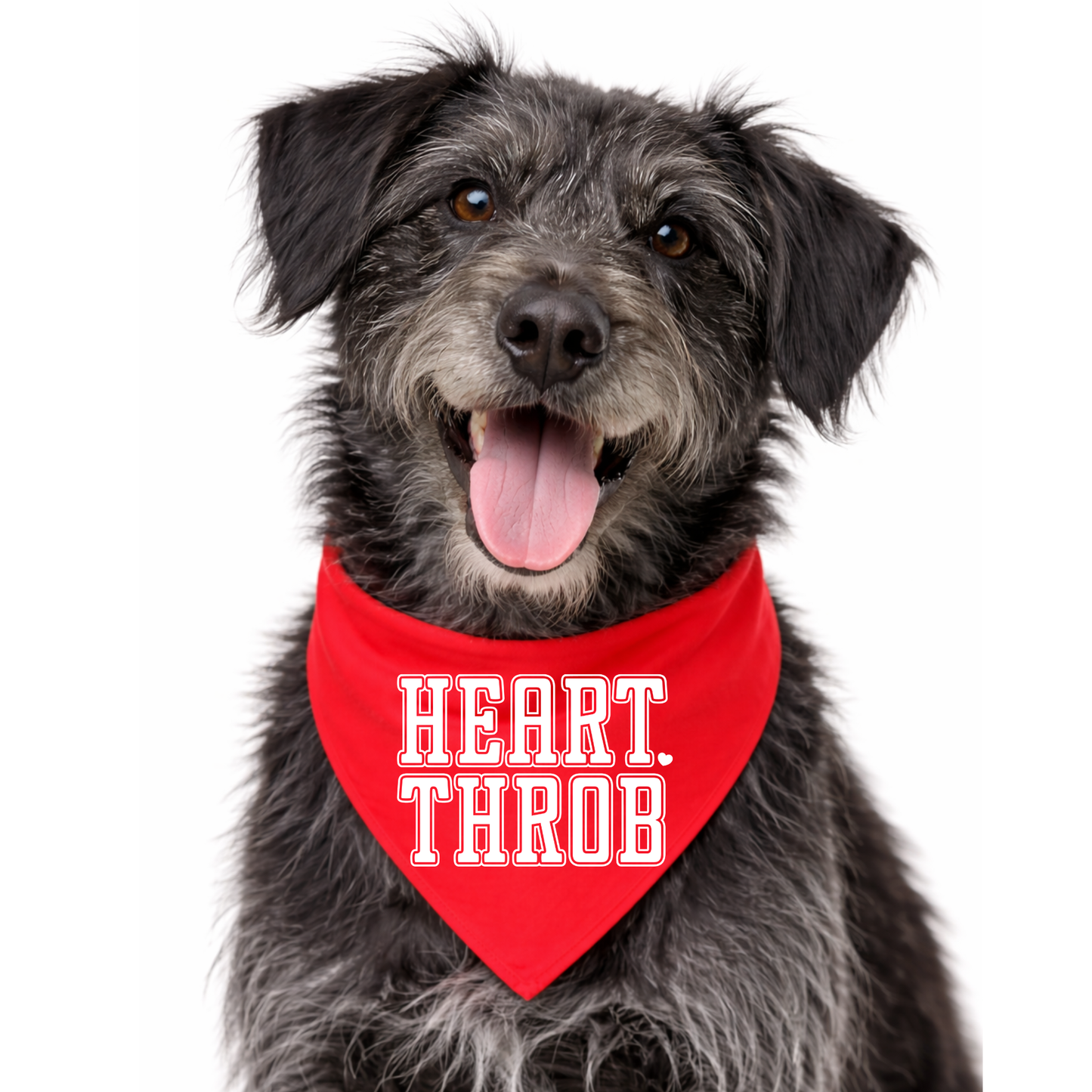 HEART THROB- CLASSIC DOG BANDANA