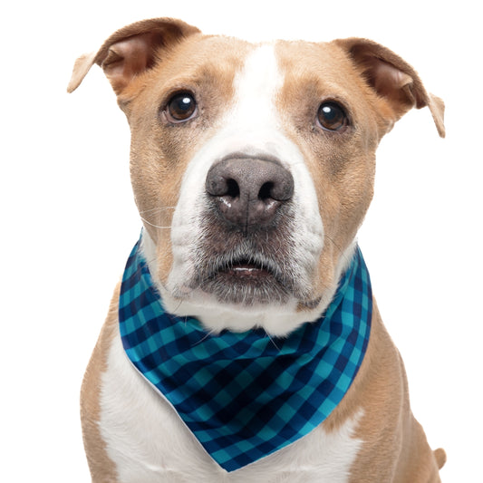 AQUA AND NAVY PLAID - TRIANGLE DOG BANDANA BY DAPPER DEXTER