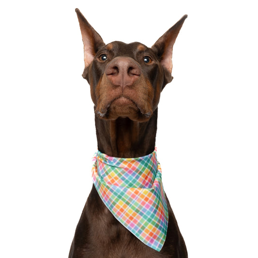 RAINBOW PLAID- TRIANGLE DOG BANDANA BY DAPPER DEXTER