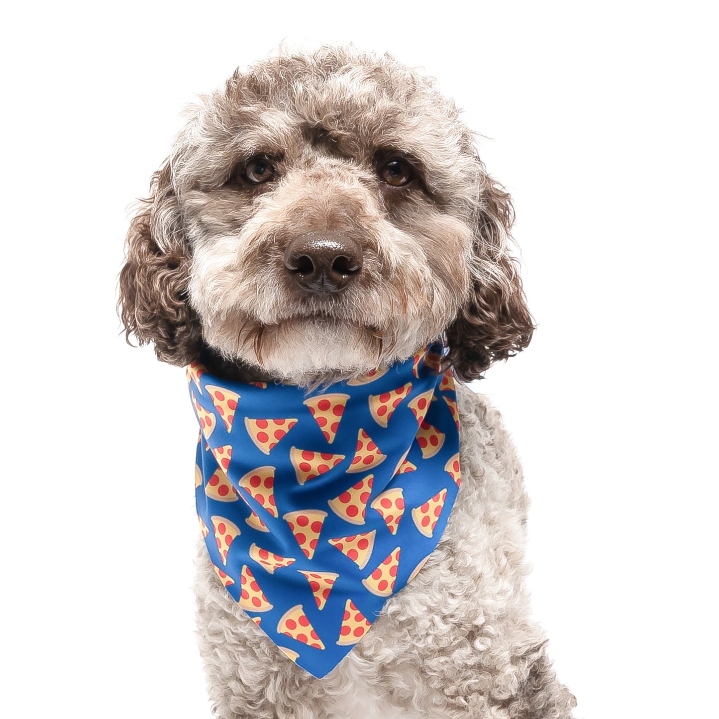 BLUE PIZZA - TRIANGLE DOG BANDANA BY DAPPER DEXTER