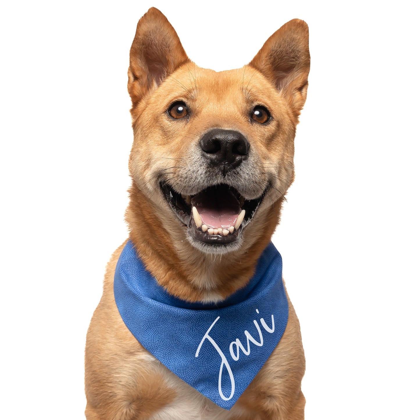 ROYAL BLUE - CLASSIC DOG BANDANA