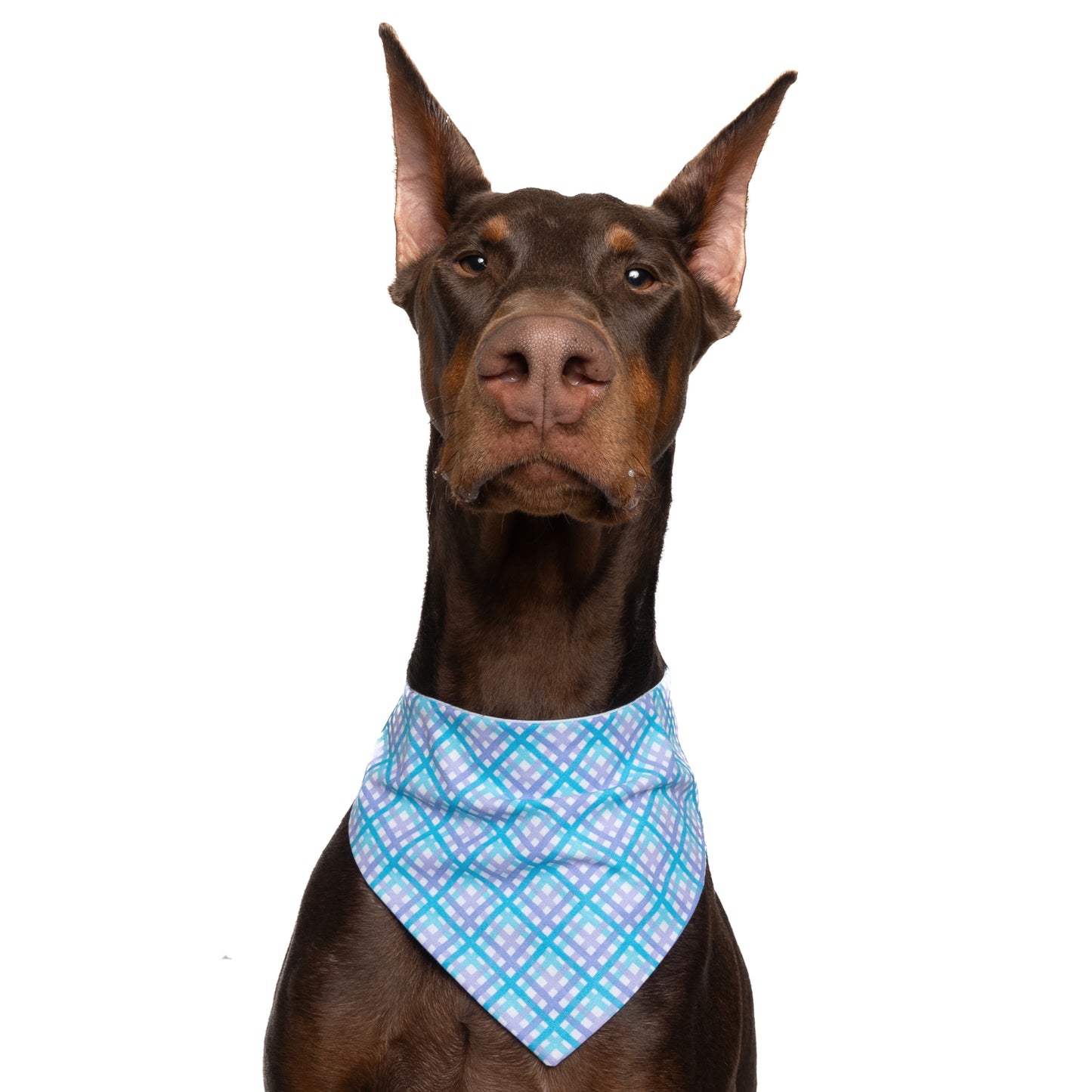 SPRING BLUE PLAID - CLASSIC DOG BANDANA