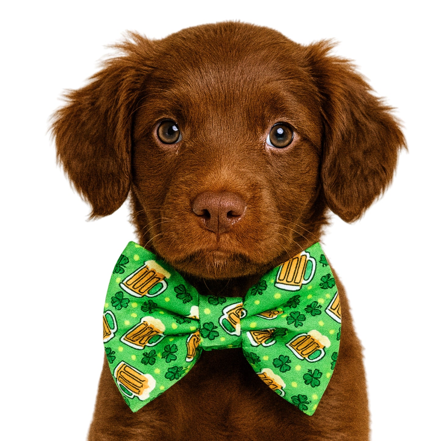 GREEN BEER - DAPPER DEXTER DOG BOW TIE