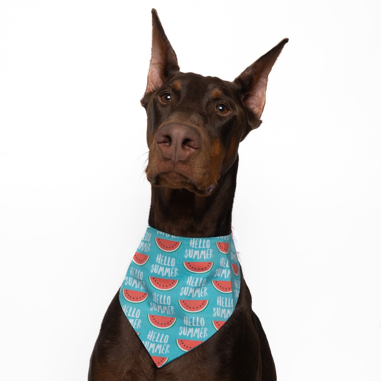 HELLO SUMMER - CLASSIC DOG BANDANA