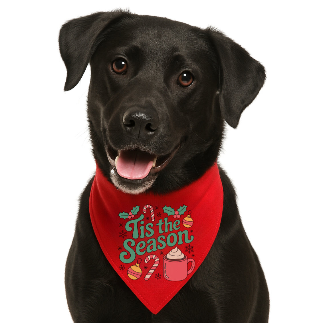 TIS THE SEASON - CLASSIC DOG BANDANA