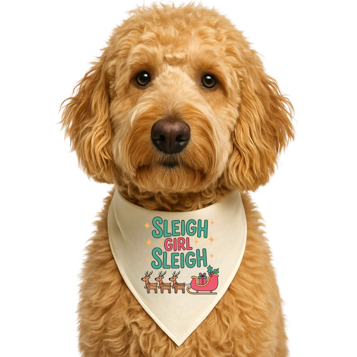 SLEIGH GIRL SLEIGH - CLASSIC DOG BANDANA