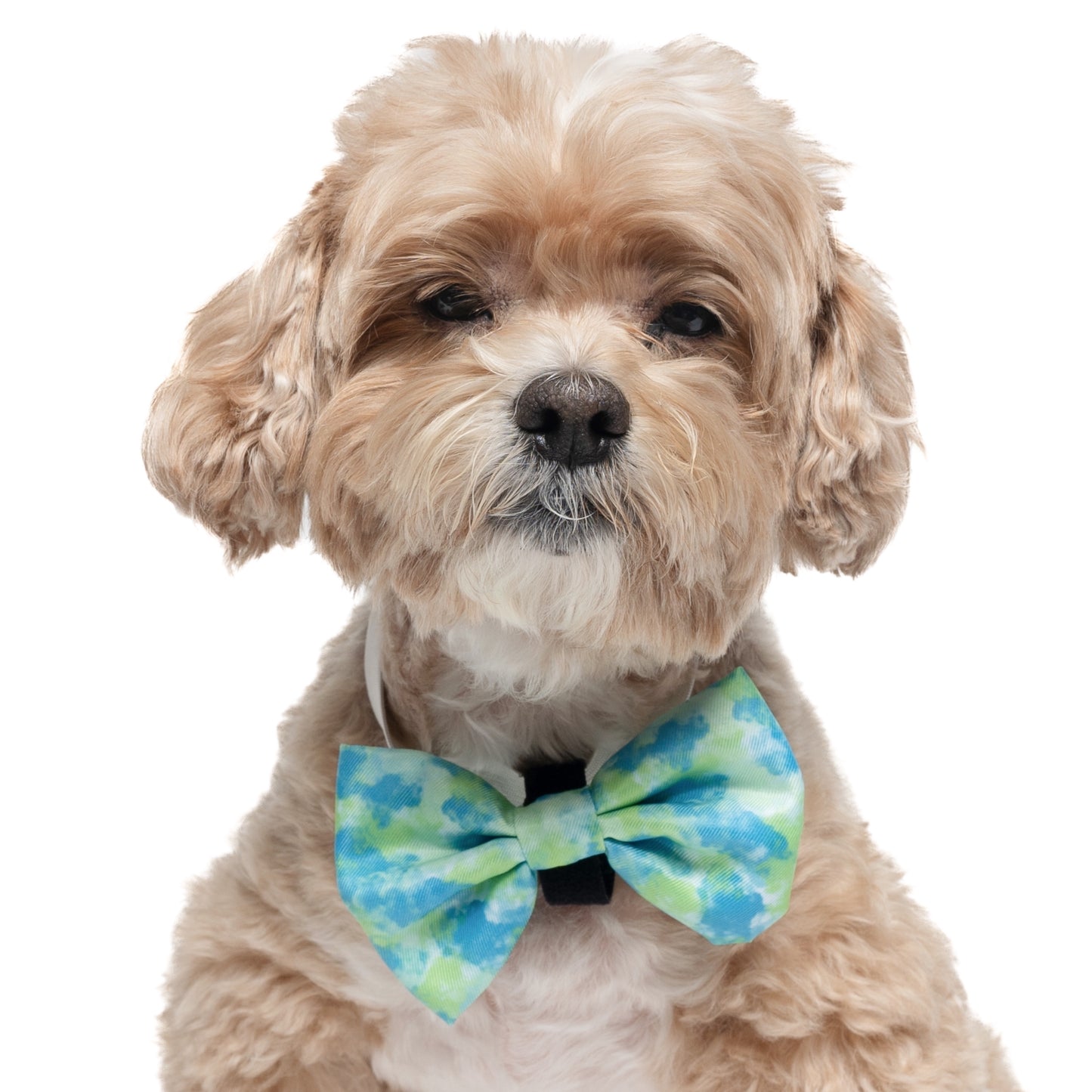 LIME & BLUE TIE DYE - BOW TIE