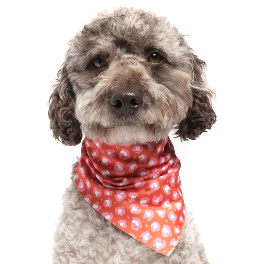 ANIMAL PRINT - TRIANGLE DOG BANDANA BY DAPPER DEXTER