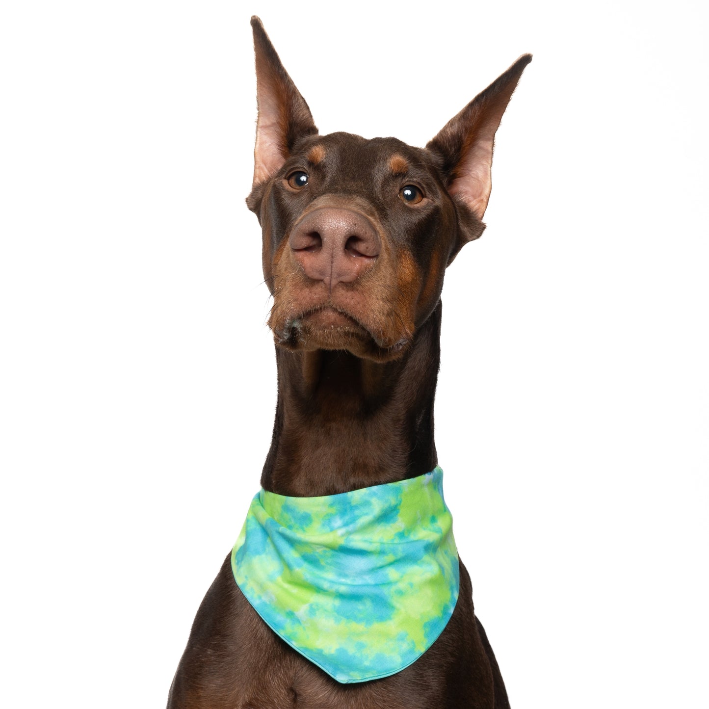 LIME & BLUE TIE DYE - CLASSIC DOG BANDANA