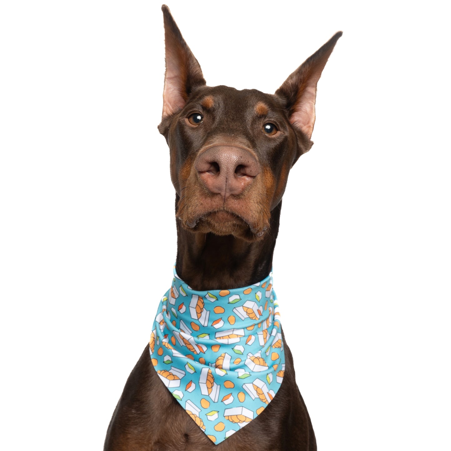 CHICKEN NUGGETS - TRIANGLE DOG BANDANA BY DAPPER DEXTER