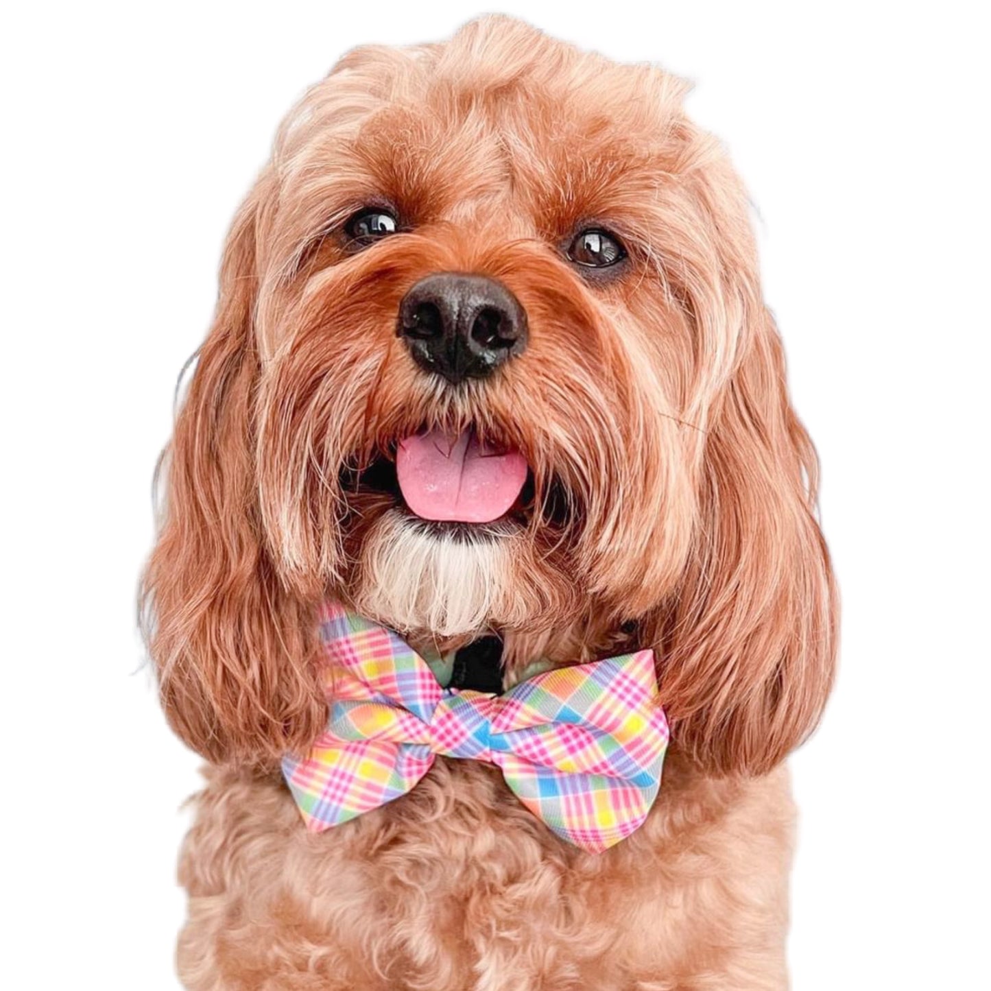 YELLOW SPRING PLAID - BOW TIE
