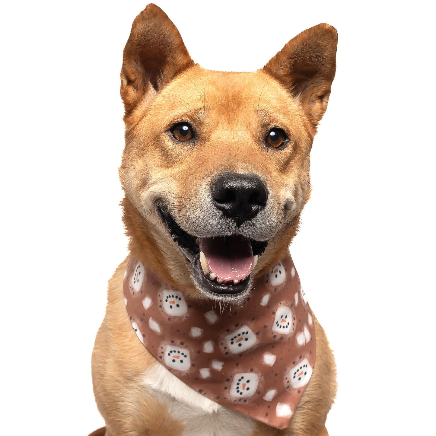 HOT COCOA - CLASSIC DOG BANDANA