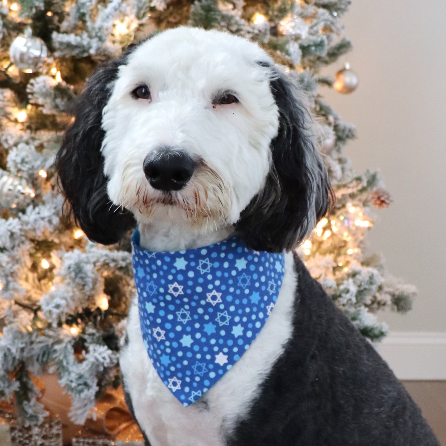 HANUKKAH - CLASSIC DOG BANDANA